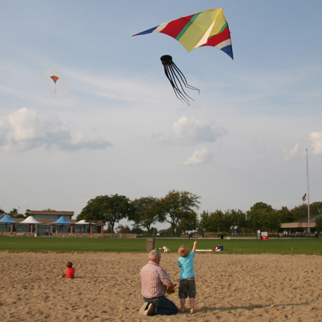 A man and child flying a kite on the beach.