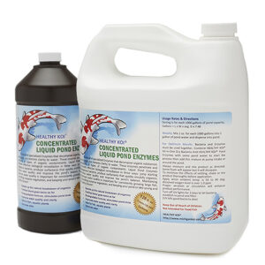 Pond water Treatment